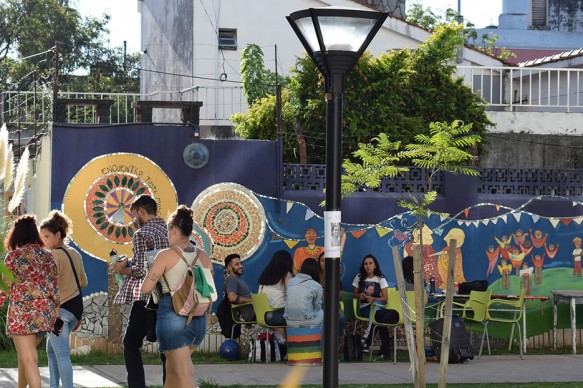 estudiantes en el patio en verano