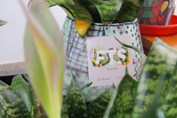 fts florece - plantas-macetas
