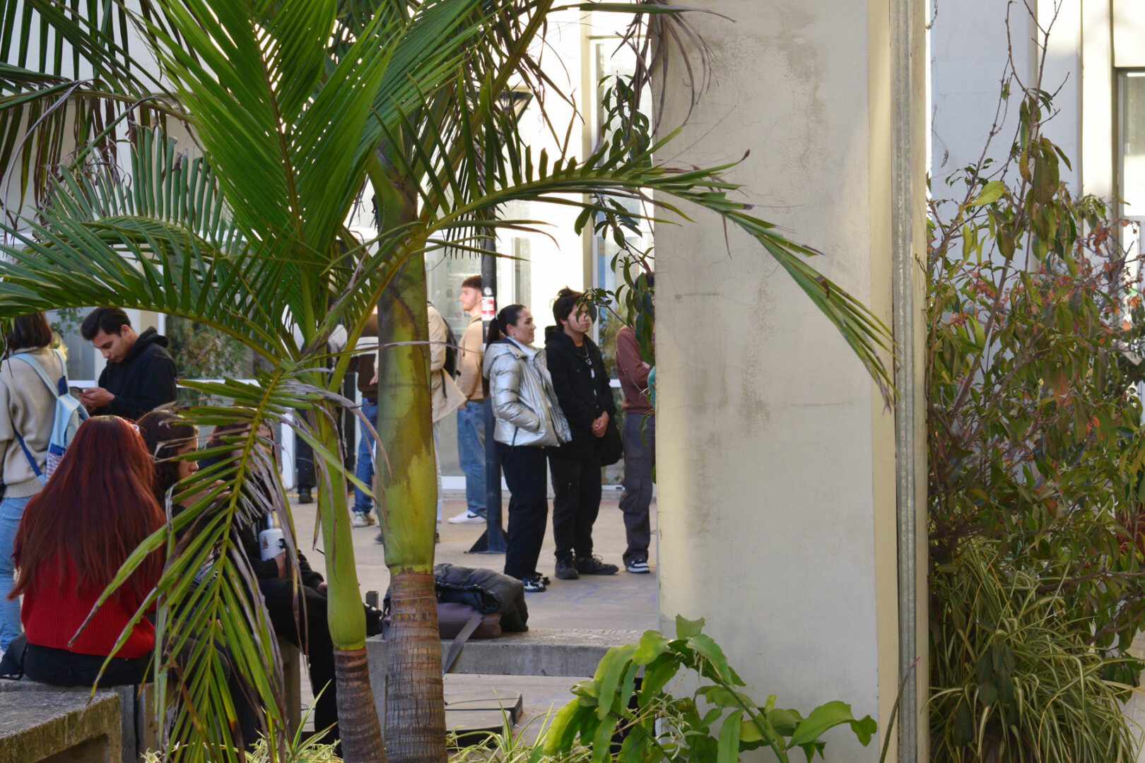 estudiantes patio